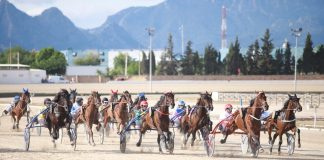 Mallorca presenta en Fitur la «Mallorca Trot Experience» como atractivo turístico cultural Kiwi Duran y Guillem Andreu, ganadores del 90º Gran Premio Nacional de Trot