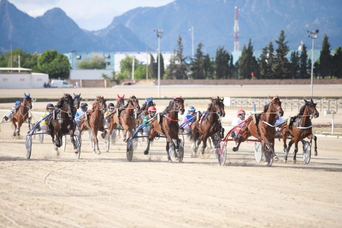 Kiwi Duran y Guillem Andreu, ganadores del 90º Gran Premio Nacional de Trot