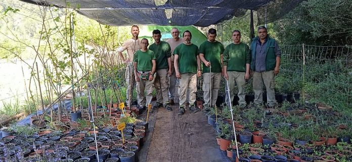 Del vivero de plantas de Raixa a las carreteras de Mallorca