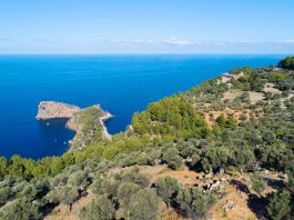 Mallorca está nominada a cinco categorías de los World Travel Awards