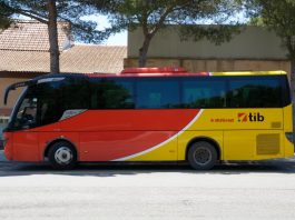 El bus del TIB conecta el corredor de la bahía de Alcúdia con Cala Rajada