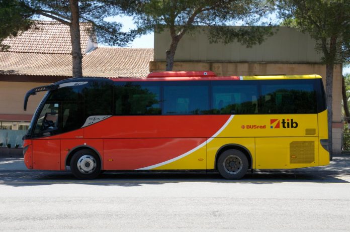 El bus del TIB conecta el corredor de la bahía de Alcúdia con Cala Rajada