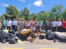 Eliminados 830 kilos de residuos del área Biológica Crítica de Magaluf