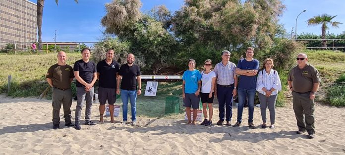 La playa de Can Pere Antoni, escenario de la primera puesta registrada en Mallorca de tortuga marina