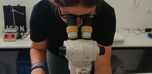 Un total de 197 alumnos de las Islas Baleares participan en el programa educativo de Mosquito Alert
