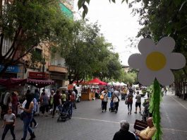 Este sábado día 3 de junio es la Diada del Medio Ambiente de Blanquerna