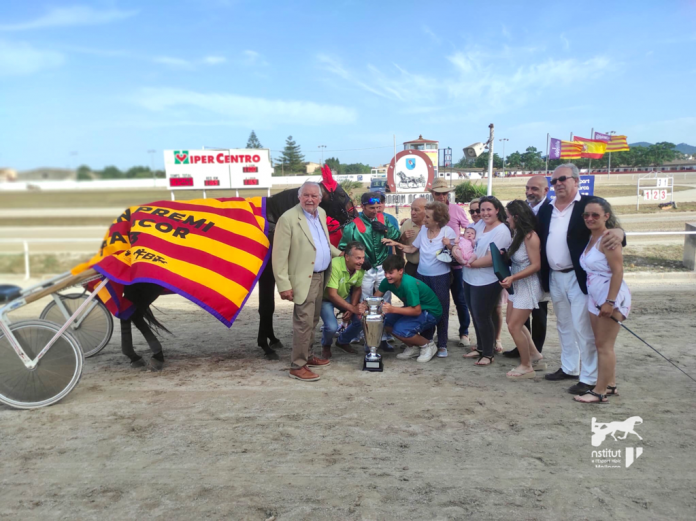 Kasta Maker SB y Joan Antoni Riera, proclamados campeones del 65º Gran Premi Manacor de Trot