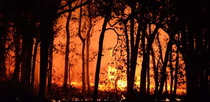 El Gobierno aprueba ayudas para los afectados por siete emergencias registradas desde agosto en Balears