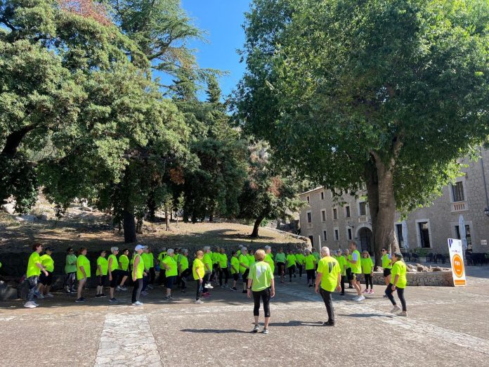 «Deporte para adultos» del Consell de Mallorca llega a más personas y municipios que nunca con más de 2.000 horas de ejercicio