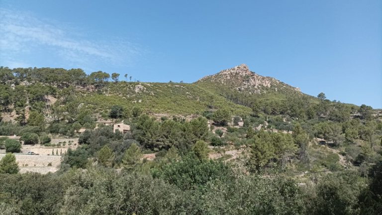 Se cumplen diez años del gran incendio forestal de Andratx, Calvià y Estellencs