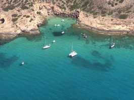 El CNA apoya al IMEDEA en la investigación de la vida submarina en la Bahía de Palma