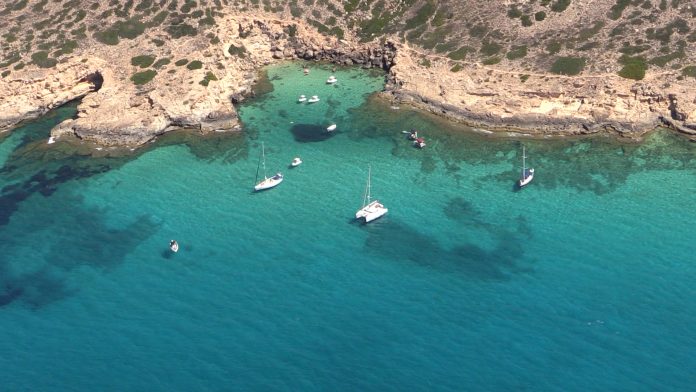 El CNA apoya al IMEDEA en la investigación de la vida submarina en la Bahía de Palma