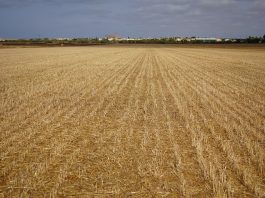 Cuando los cazas aterrizaban el sur de Mallorca