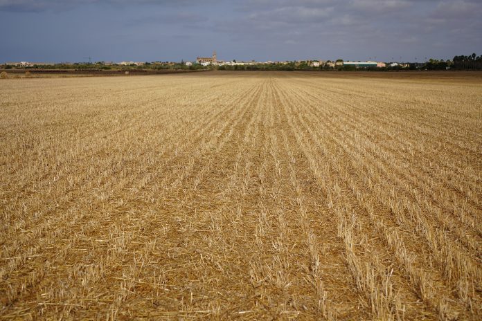 Cuando los cazas aterrizaban el sur de Mallorca