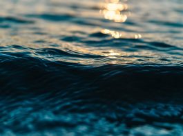 La Conselleria del Mar y del Ciclo del Agua se suma a la celebración de la Semana Mundial del Agua