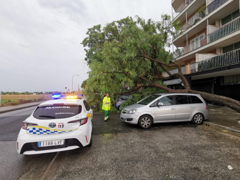 Cort refuerza  efectivos  para prevenir posibles incidencias ante la entrada de una DANA en Mallorca