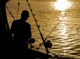 La pesca, protagonista en las Fiestas de Agosto del Club Nàutic Portitxol