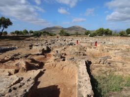 en marcha la creación del Centro de Arqueología de Mallorca