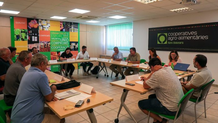 Cooperativas Agro-alimentarias Islas Baleares reivindica el papel del cooperativismo agroalimentario ante el Consejero de Agricultura
