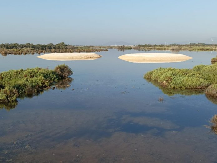 https://www.palmesana.com/noticia/dos-nuevas-isletas-de-cria-de-aves-acuaticas-en-el-parc-natural-de-salbufera-de-mallorca/