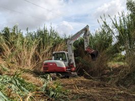 La limpieza de torrentes en Balears alcanza los 72,3 kilómetros en 2023