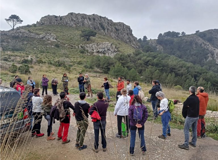 Xarxa Forestal lleva a cabo más de 270 actividades anuales durante los dos últimos cursos y llega a más de 7.000 participantes en las Islas Baleares