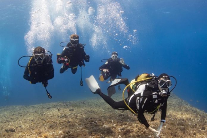 El Mallorca Dive Camp educa a las nuevas generaciones sobre biodiversidad marina