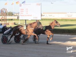 Espoir De Toues, flamante ganador del Grand Prix Des Baleares 2023