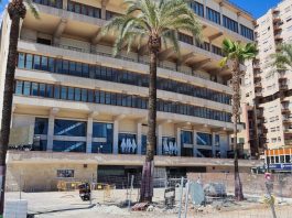 La APB inicia la retirada de palmeras en el paseo Marítimo con la finalidad de garantizar la seguridad
