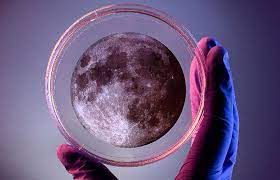 Noche Europea de la Investigación