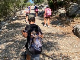 Más de 10.000 escolares podrán visitar la Serra de Tramuntana gracias al servicio gratuito de transporte del Consell de Mallorca