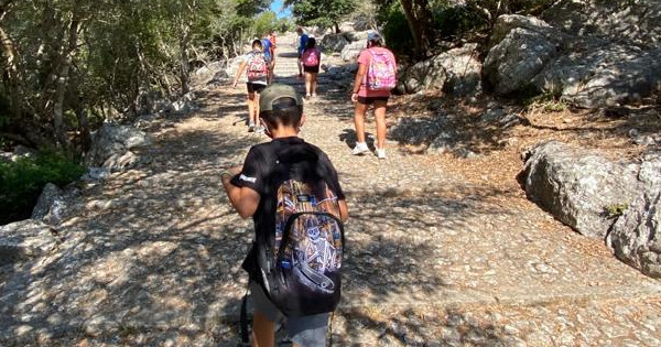 Más de 10.000 escolares podrán visitar la Serra de Tramuntana gracias al servicio gratuito de transporte del Consell de Mallorca