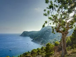 Las reservas hídricas de Balears se sitúan al 51%, 5 puntos por encima del verano pasado