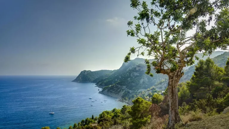 Las reservas hídricas de Balears se sitúan al 51%, 5 puntos por encima del verano pasado