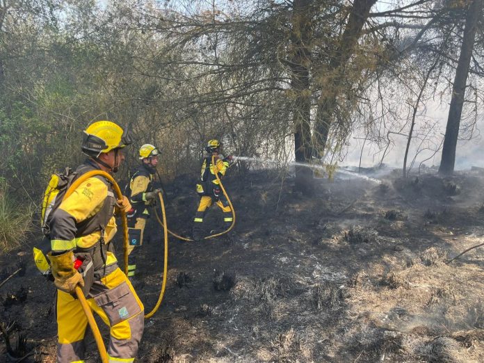 Refuerzo del operativo de incendios forestales a partir de mañana y hasta el domingo