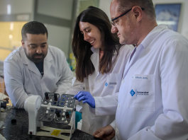 Un nuevo material replica las membranas humanas para el estudio de la absorción intestinal de medicamentos y contaminantes