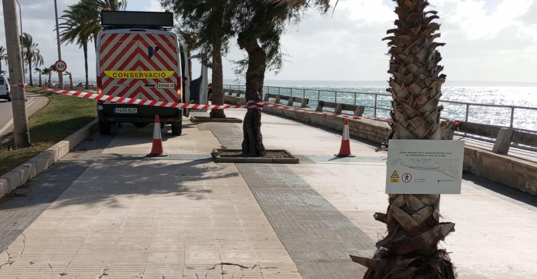 El Consell de Mallorca cierra el paso a peatones del Paseo Marítimo de Palma por el temporal de viento