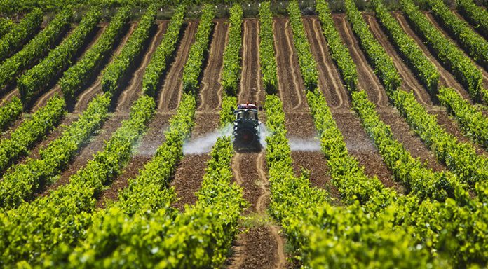 Más de 2.100 agricultores de Balears han recibido ya un total de 1,7 millones de euros de las ayudas por el encarecimiento de los fertilizantes