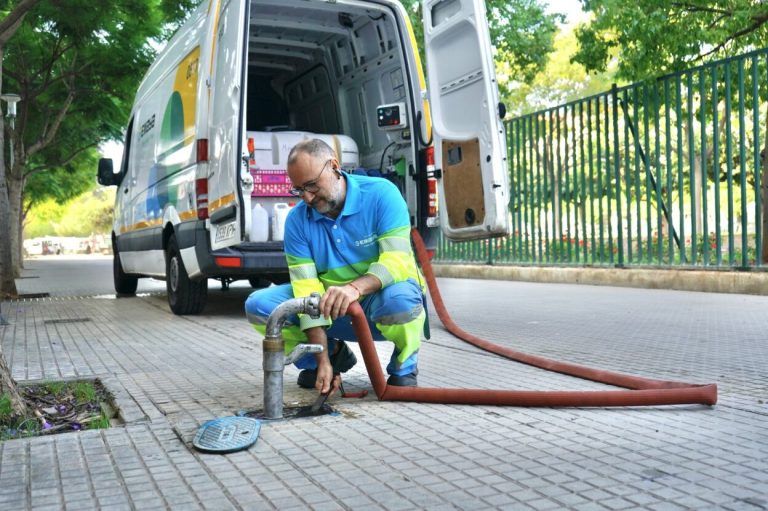 Acaban los trabajos del Plan de Choque “Palma a Punt” en el sector 5-6