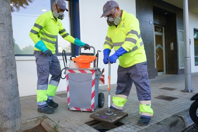 El “Palma a Punt” concluye en el sector 9-10 con casi 8.000 desinfecciones de tapas de alcantarillado