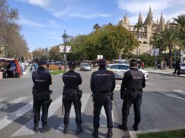 Cuatro de cada 10 delitos fueron resueltos por las Fuerzas y Cuerpos de Seguridad del Estado en Balears de enero a septiembre