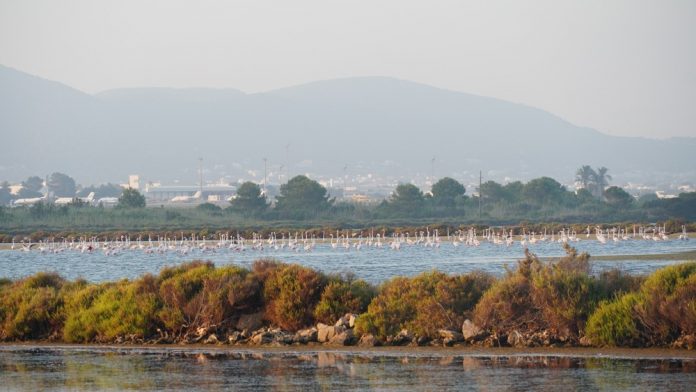 crea el Fondo de Patrimonio Natural de las Illes Balears