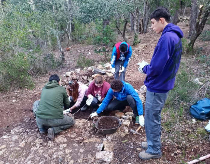 El Departamento de Medio Ambiente, Medio Rural y Deportes del Consell de Mallorca ha celebrado este miércoles la primera jornada de colaboración de margers con alumnos de la Asociación de Padres y Madres de Personas con Discapacidad de Baleares (AMADIBA), en la que los participantes han trabajado en el mantenimiento de un tramo de la Ruta de Piedra en Seco de la finca pública de So n’Amer. Esta iniciativa responde a una colaboración entre el Departamento de Medio Ambiente de la institución insular y el centro de educación especial Cuatro por Cuatro Palma, de AMADIBA, con el grupo de alumnos de cata de oficios. Esta acción ha permitido que seis alumnos y dos profesores hayan tenido la oportunidad de conocer el oficio artesano de marger y descubrir esta técnica milenaria. El vicepresidente segundo y consejero de Medio Ambiente, Medio Rural y Deportes, Pedro Bestard, junto con el director insular de Medio Ambiente, Luis Rubí, han acudido a la finca de So n’Amer para agradecer in situ a los alumnos su participación en esta actividad formativa. «Estamos encantados de colaborar en esta actividad que nos permite difundir el trabajo de margers y enseñar a estos alumnos a empedrar un trozo de la Ruta de Piedra en Seco. Es importante difundir la labor de rehabilitación y conservación del patrimonio de piedra en seco, que representa una de nuestras mayores riquezas patrimoniales y paisajísticas de Mallorca, concretamente del entorno de la sierra de Tramuntana». La brigada de margers del Departamento de Medio Ambiente ha acompañado a los alumnos durante los trabajos de mantenimiento del tramo de la ruta senderista. El próximo 24 de enero tendrá lugar la segunda jornada de colaboración de margers con alumnos de AMADIBA.