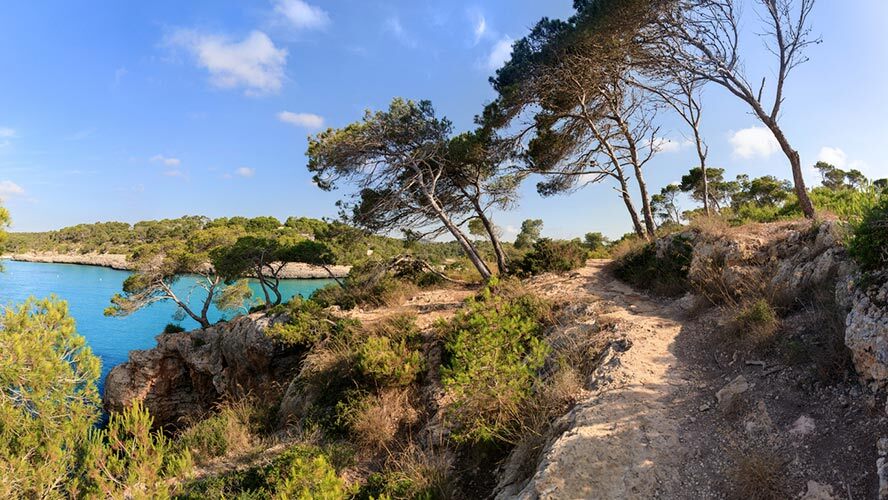 El Parque Natural de Mondragó tendrá un kiosko/bar desmontable