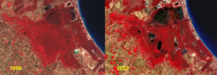La grave crisis ambiental de s'Albufera de Mallorca, vista desde el espacio