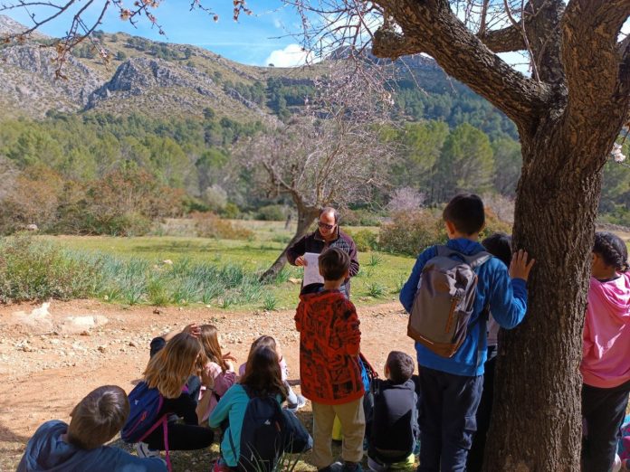 La Unitat d’Educació Ambiental del Consell de Mallorca posa en marxa una altra edició d’Una nit a la Serra