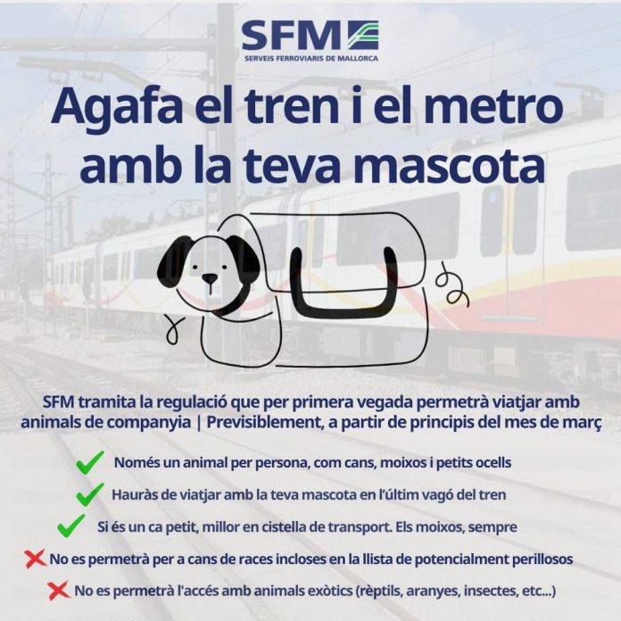 nueva regulación que permitirá viajar en tren y metro con perros y otros animales de compañía