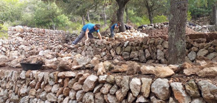 cursos de formación y trabajo para la conservación y mejora del medio ambiente