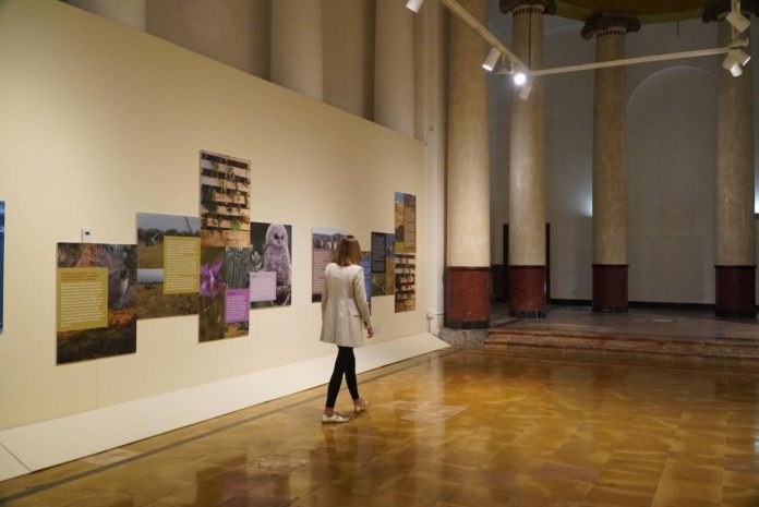 reabre la capilla de la Misericordia con la exposición Espacios Naturales