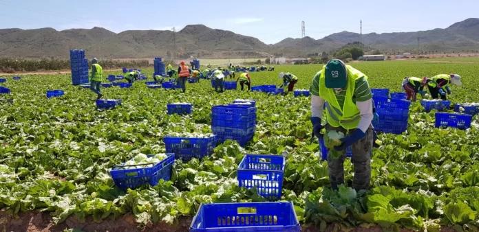 El Gobierno aprueba la subida del SMI en 2024 a 1.134 € en 14 pagas